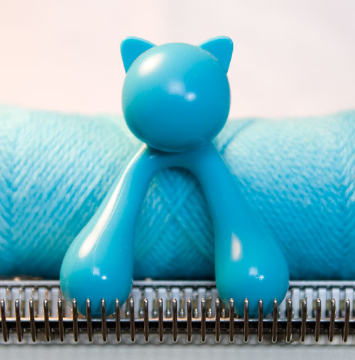 Image: blue cat