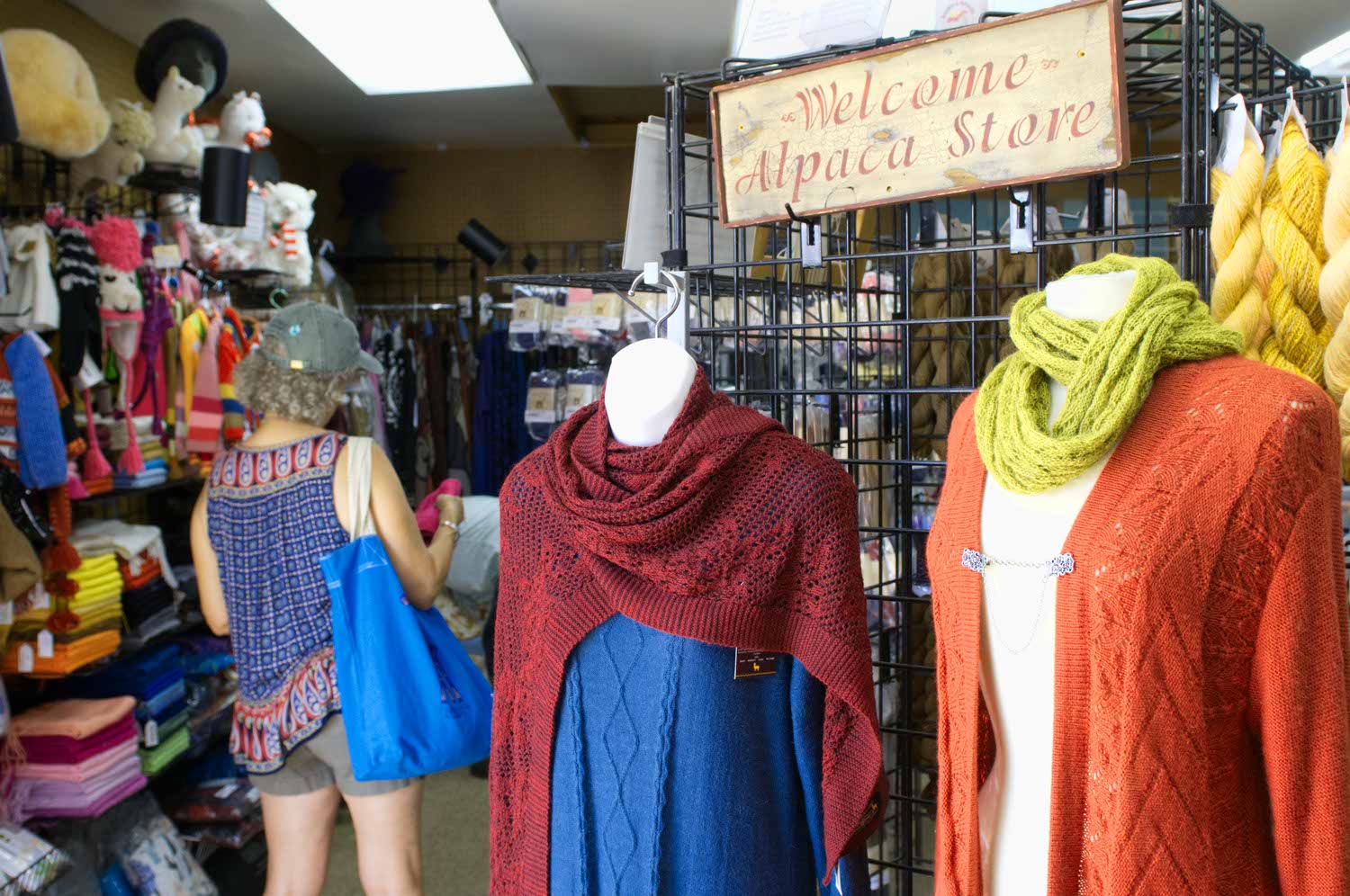 Image: Wool garments at the alpaca store