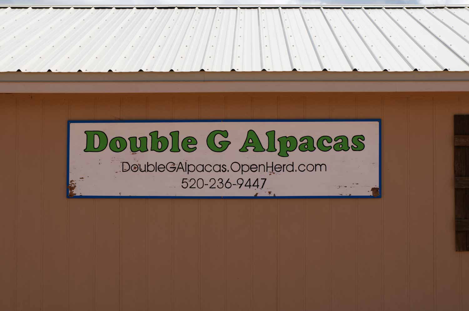 Image: Double G Alpaca shop.