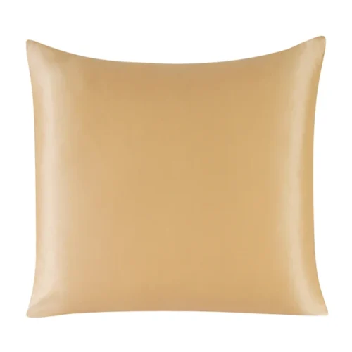 Image: Champagne color silk Euro sham