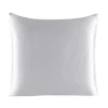 Image: Silver color silk Euro sham