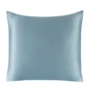 Image: Iceberg color silk Euro sham