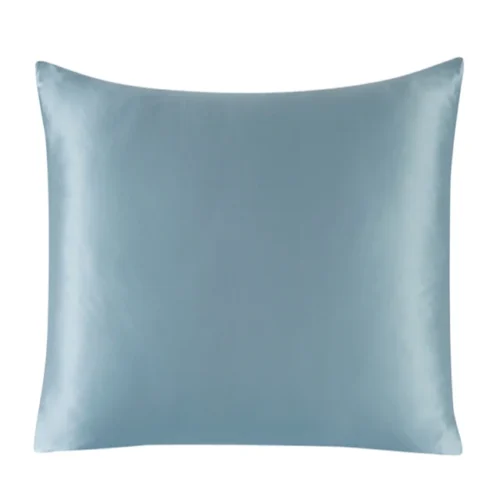 Image: Iceberg color silk Euro sham
