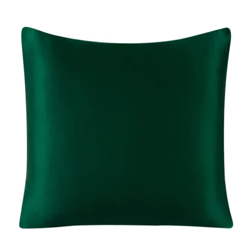 Image: Green silk Euro sham