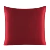 Image: Sangria color silk Euro sham