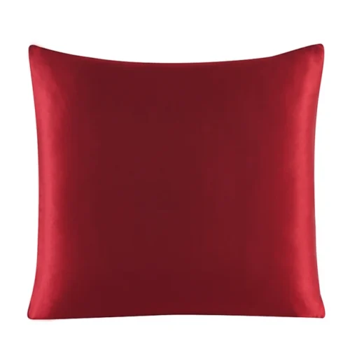 Image: Sangria color silk Euro sham