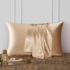 Mulberry silk pillowcase with zipper, camel
